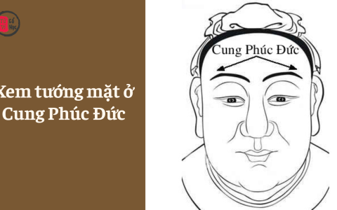 Xem tướng mặt ở Cung Phúc Đức
