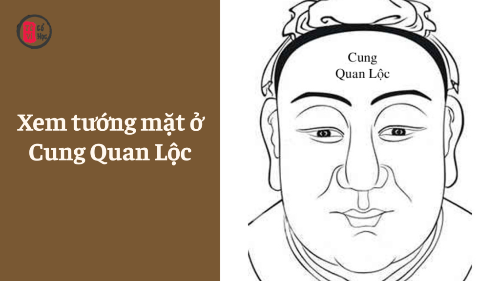 Xem tướng mặt ở Cung Quan Lộc - Tử Vi Cổ Học