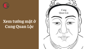 Xem tướng mặt ở Cung Quan Lộc
