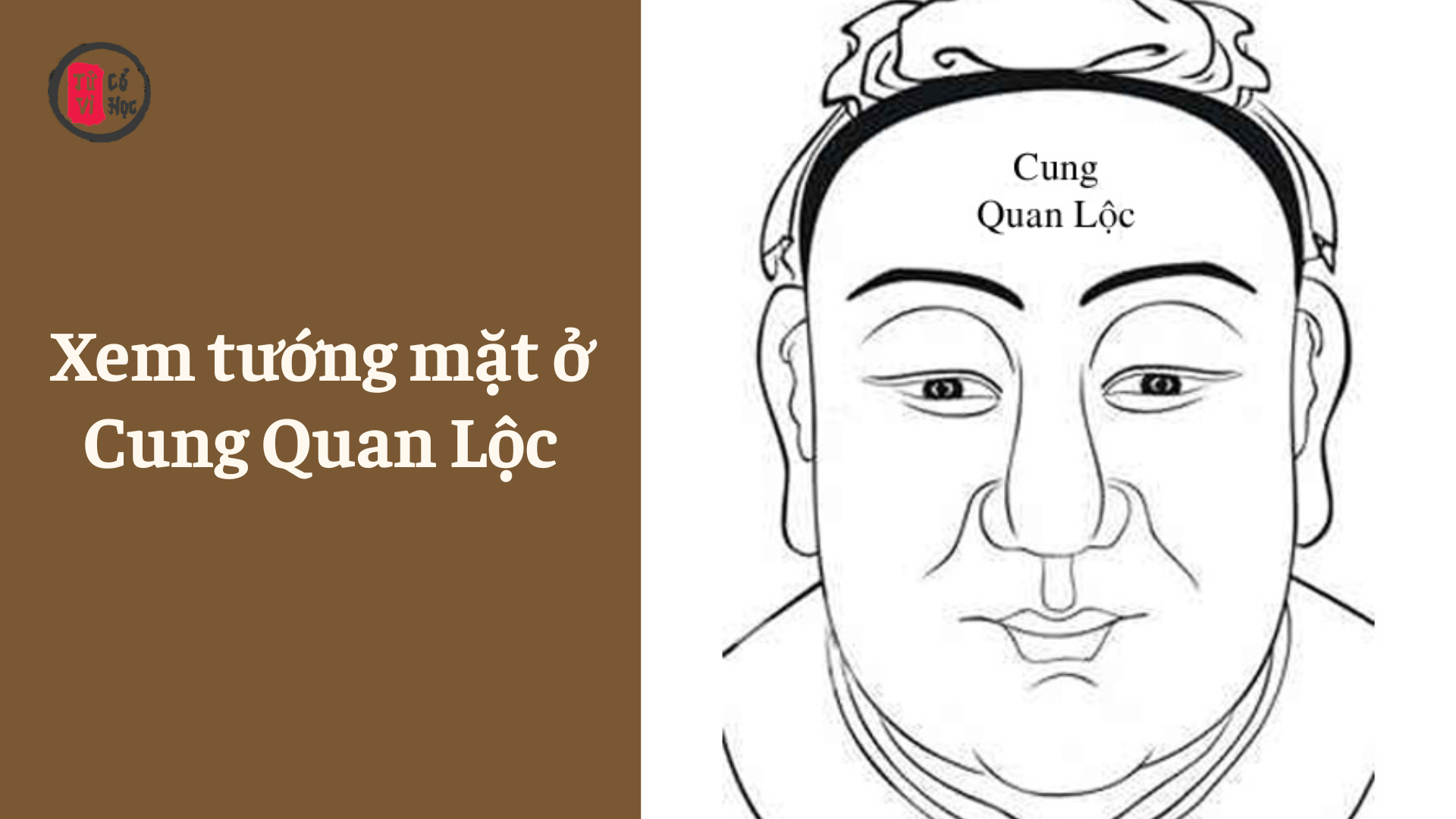 Xem tướng mặt ở Cung Quan Lộc - Tử Vi Cổ Học
