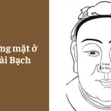 Xem tướng mặt ở Cung Tài Bạch - Tử Vi Cổ Học