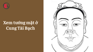 Xem tướng mặt ở Cung Tài Bạch