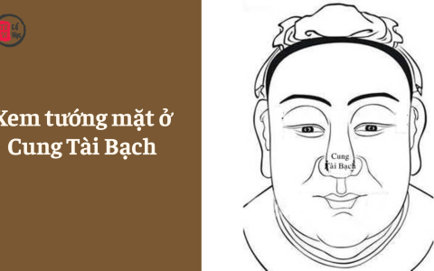 Xem tướng mặt ở Cung Tài Bạch