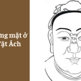Xem tướng mặt ở Cung Tật Ách - Tử Vi Cổ Học