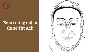 Xem tướng mặt ở Cung Tật Ách