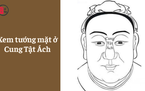 Xem tướng mặt ở Cung Tật Ách