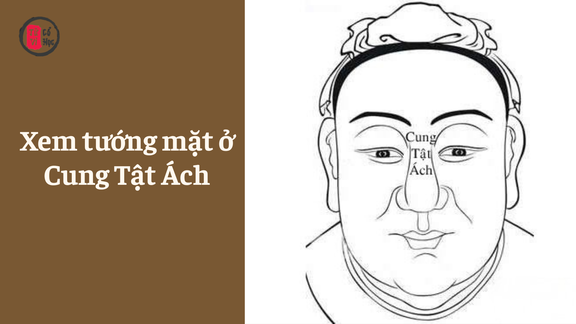 Xem tướng mặt ở Cung Tật Ách - Tử Vi Cổ Học