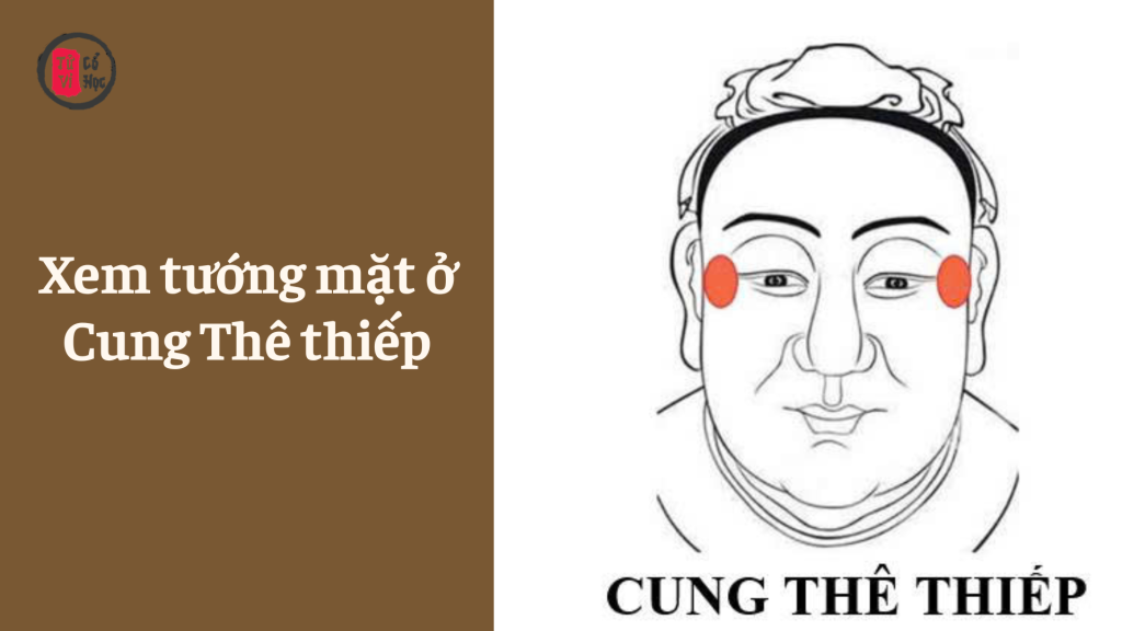 Xem tướng mặt ở Cung Thê Thiếp - Tử Vi Cổ Học