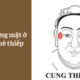 Xem tướng mặt ở Cung Thê Thiếp - Tử Vi Cổ Học