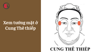 Xem tướng mặt ở Cung Thê Thiếp