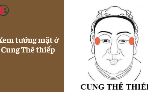 Xem tướng mặt ở Cung Thê Thiếp