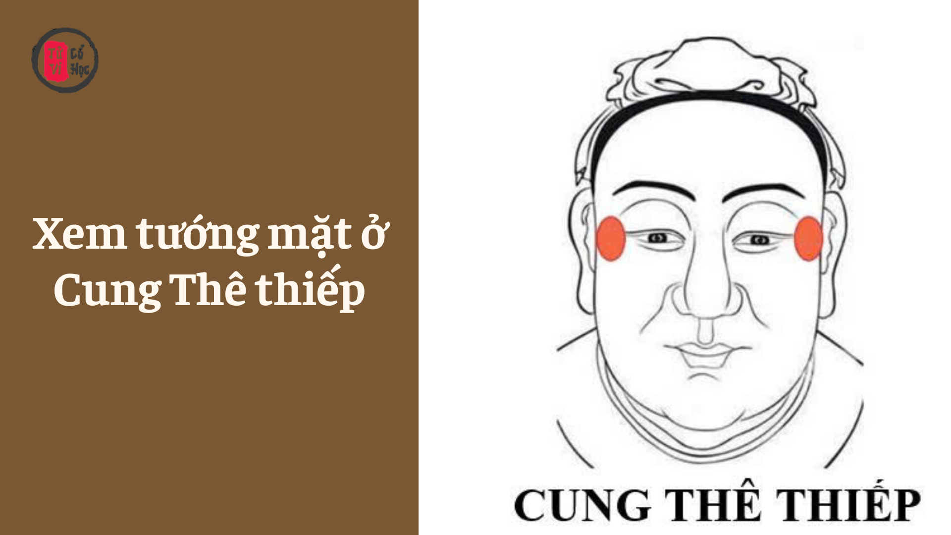 Xem tướng mặt ở Cung Thê Thiếp - Tử Vi Cổ Học