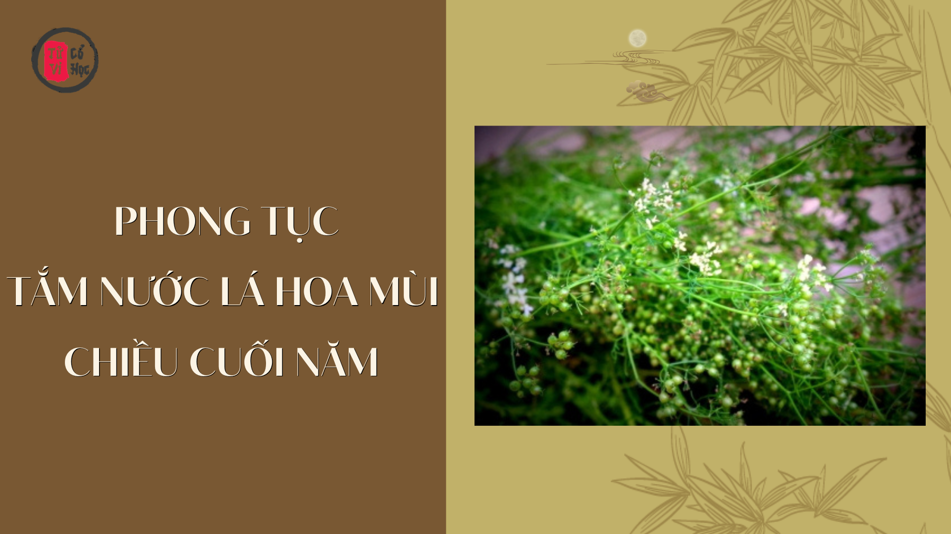 Phong tục tắm nước lá hoa mùi chiều cuối năm - Tử Vi Cổ Học