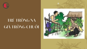 Trẻ trồng na, già trồng chuối