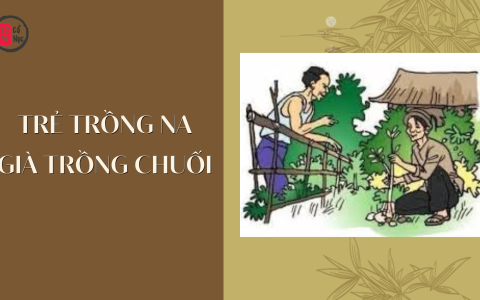 Trẻ trồng na, già trồng chuối