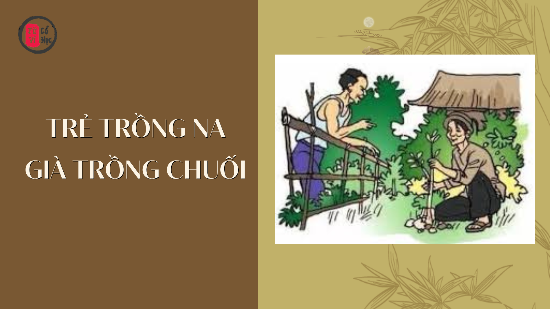 Trẻ trồng na, già trồng chuối - Tử Vi Cổ Học