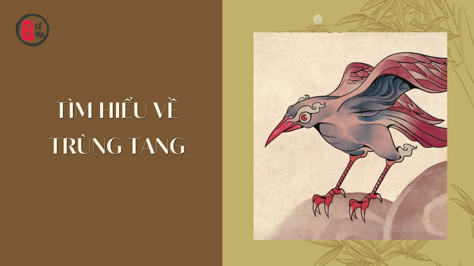 Trùng tang là gì?- Tử Vi Cổ Học