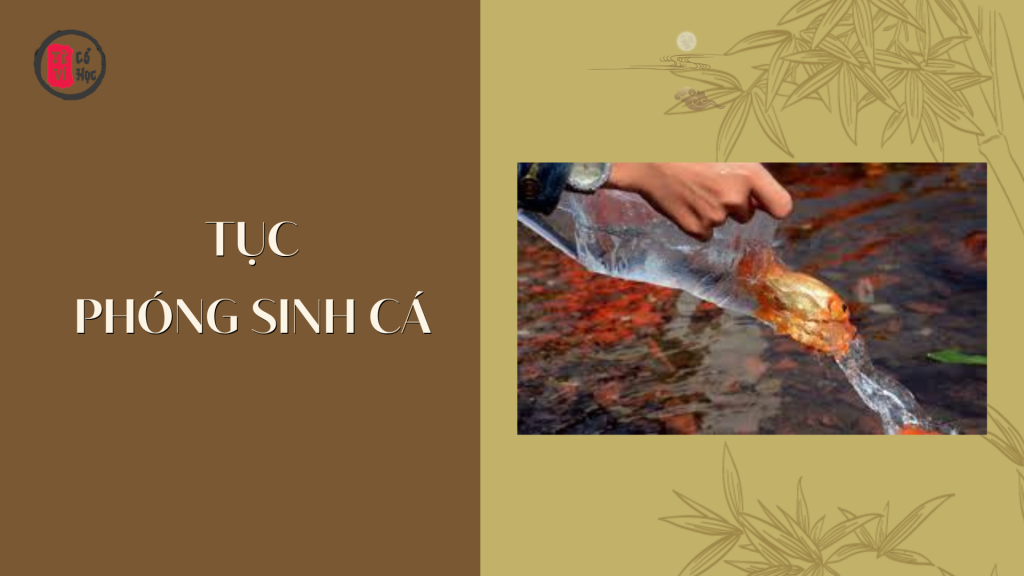 Tìm hiểu ý nghĩa tục phóng sinh cá ngày Tết ông Công ông Táo - Tử Vi Cổ Học