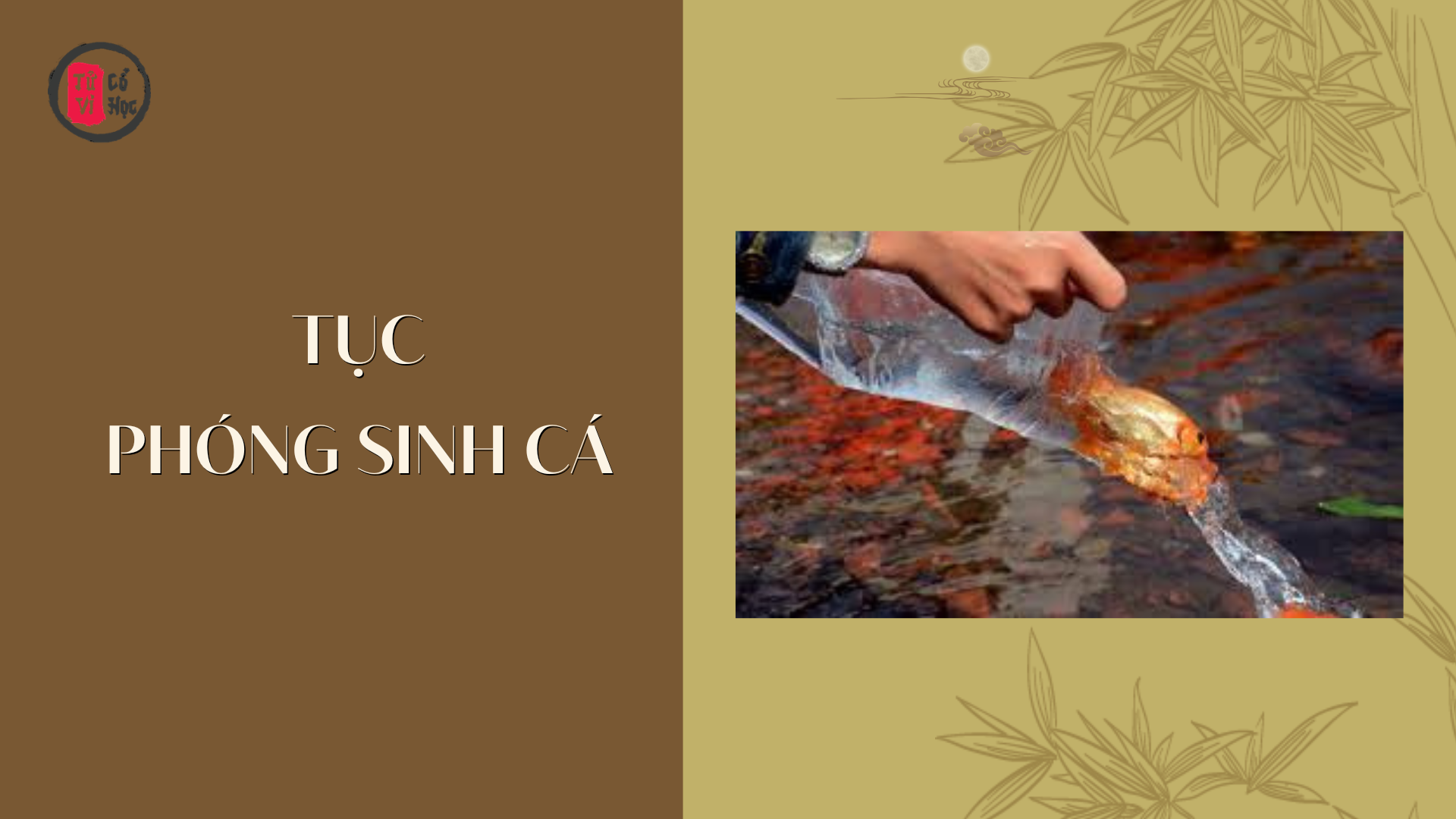 Tìm hiểu ý nghĩa tục phóng sinh cá ngày Tết ông Công ông Táo - Tử Vi Cổ Học