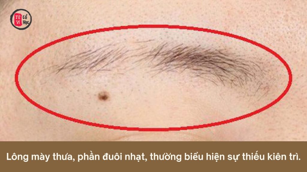 Xem tướng người thích thể hiện mình - Tử Vi Cổ Học 