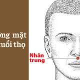 Xem tướng mặt bộ vị nào để biết tuổi thọ dài ngắn – Tử Vi Cổ Học
