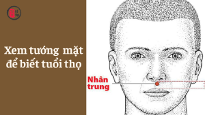 Xem tướng mặt bộ vị nào để biết tuổi thọ dài ngắn