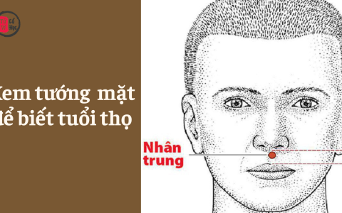 Xem tướng mặt bộ vị nào để biết tuổi thọ dài ngắn 18 Xem tướng mặt bộ vị nào để biết tuổi thọ dài ngắn