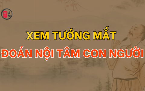 Xem tướng mắt để đoán biết nội tâm con người 19 Xem tướng mắt để đoán biết nội tâm con người
