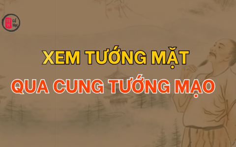 Xem tướng mặt qua Cung Tướng Mạo
