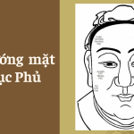 Xem tướng mặt qua Lục Phủ và Học Đường