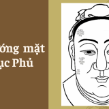 Xem tướng mặt qua Lục Phủ – Tử Vi Cổ Học