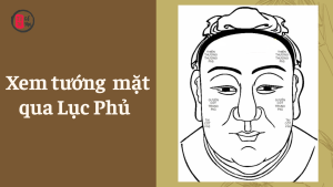 Xem tướng mặt qua Lục Phủ và Học Đường