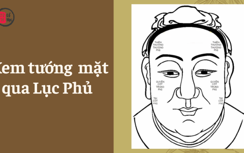Xem tướng mặt qua Lục Phủ và Học Đường