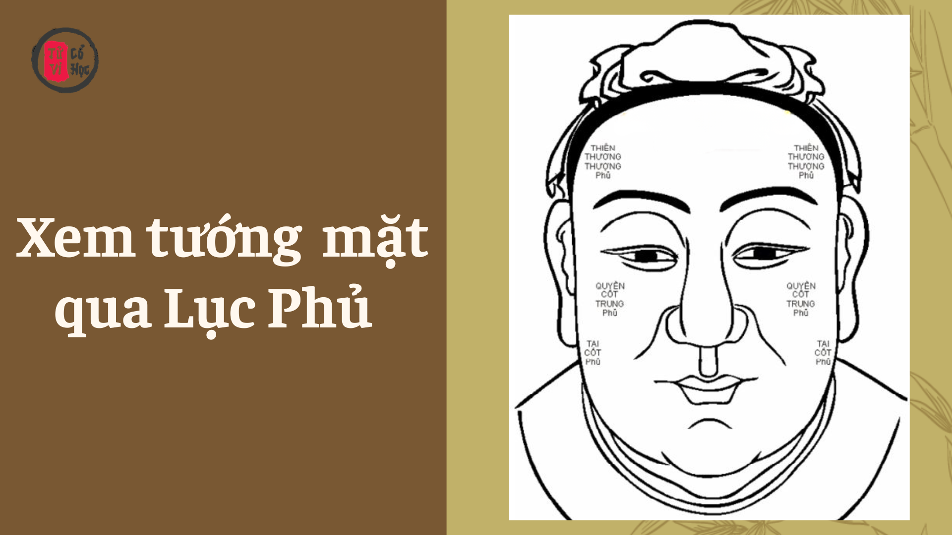 Xem tướng mặt qua Lục Phủ – Tử Vi Cổ Học