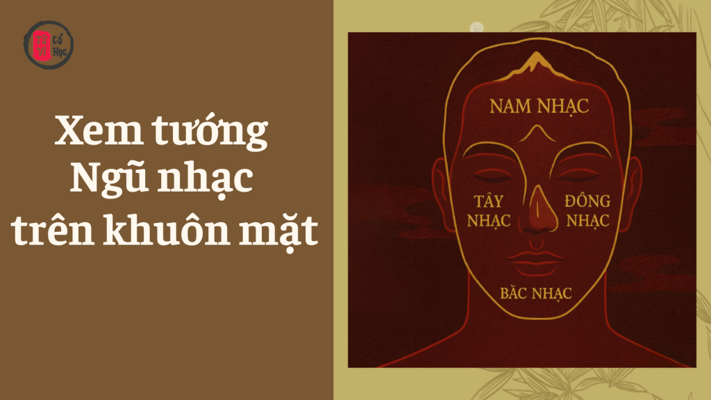 Xem tướng Ngũ Nhạc trên khuôn mặt – Tử Vi Cổ Học
