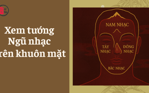 Xem tướng Ngũ Nhạc trên khuôn mặt