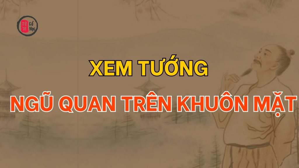 Xem Tướng Ngũ Quan Trên Khuôn Mặt - Tử Vi Cổ Học