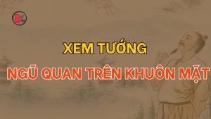 Xem tướng ngũ quan trên khuôn mặt