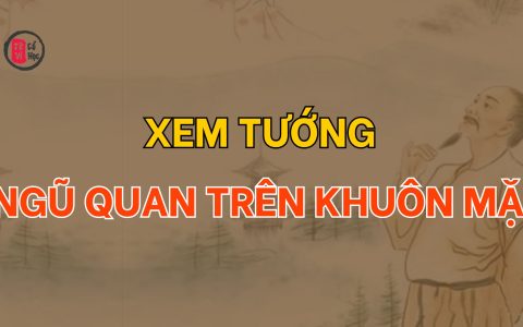 Xem tướng ngũ quan trên khuôn mặt