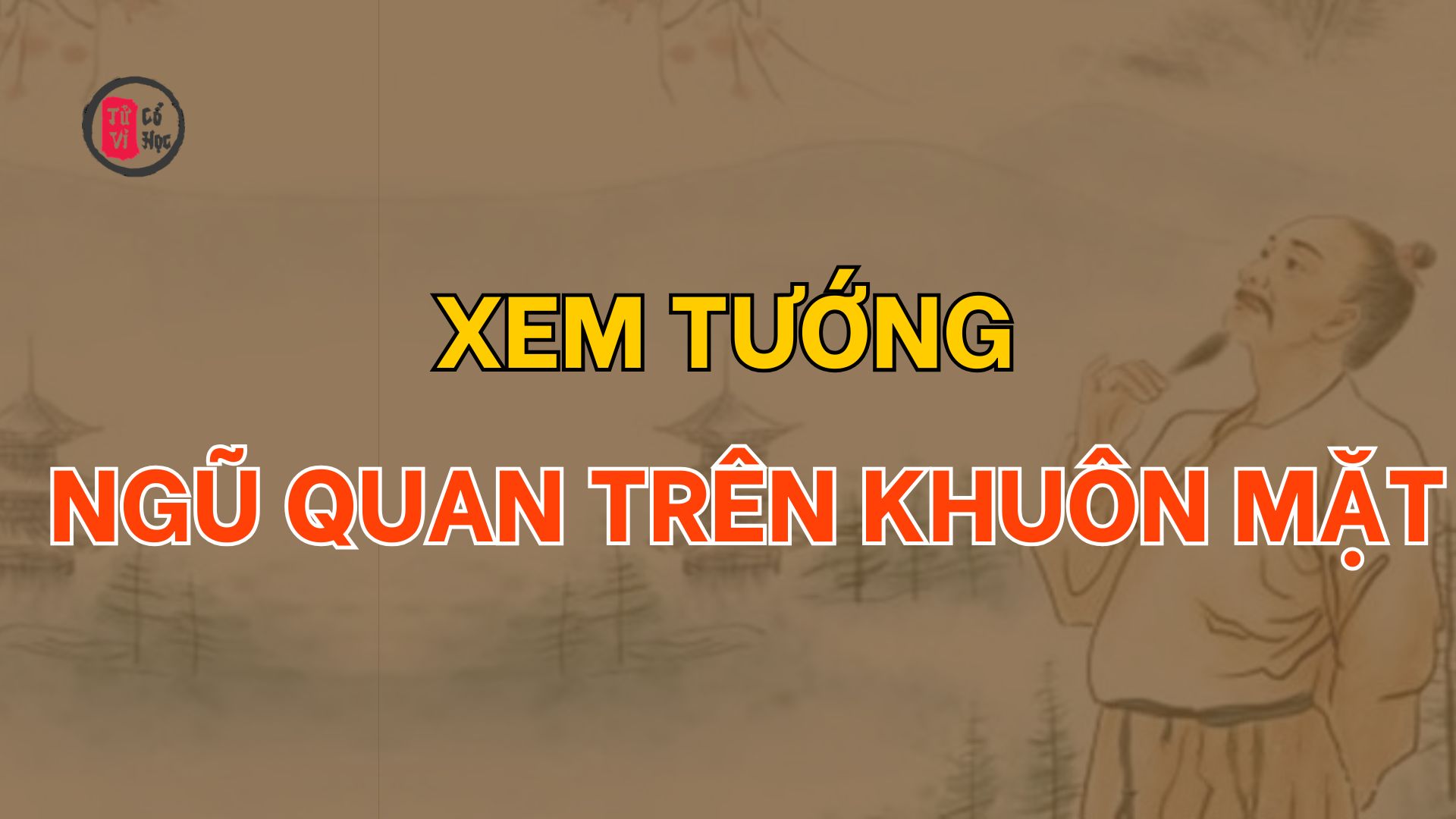 Xem Tướng Ngũ Quan Trên Khuôn Mặt - Tử Vi Cổ Học 