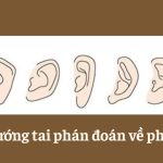 Xem tướng tai để đoán phúc khí