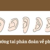 Xem tướng tai phán đoán về phúc khí - Tử Vi Cổ Học