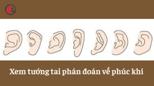 Xem tướng tai để đoán phúc khí