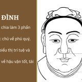 Xem tướng Tam đình trên mặt - Tử Vi Cổ Học