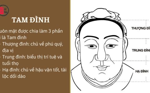 Xem tướng Tam đình trên khuôn mặt