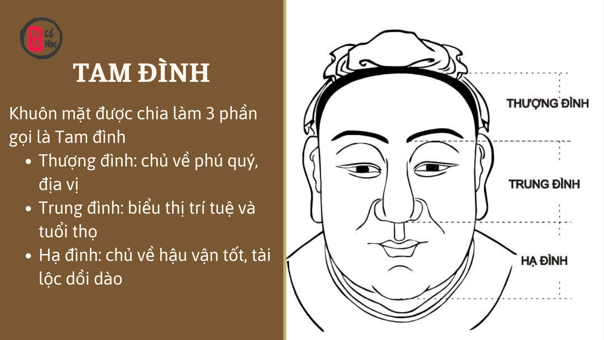 Xem tướng Tam đình trên mặt - Tử Vi Cổ Học 