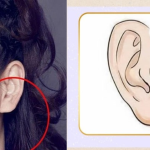 Xem tướng Tứ độc trên khuôn mặt