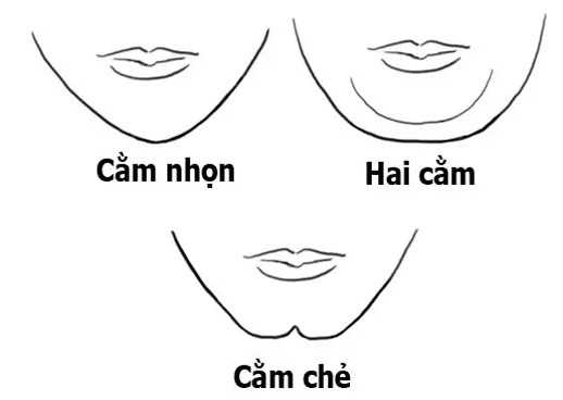 Tướng mặt phú quý hay vất vả 5 Nhan tuong hoc ky 6 Xem tuong moi va cam