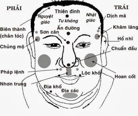 Tim hieu ve tuong xuong trong nhan tuong hoc