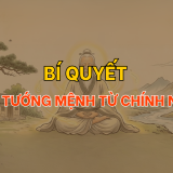 Nhân tướng học: Bí quyết cải tạo tướng mệnh | Tử Vi Cổ Học